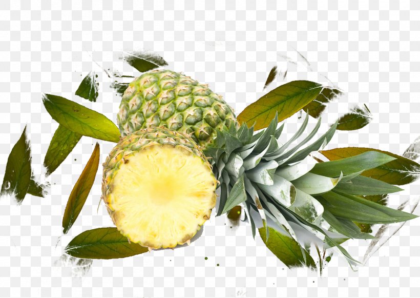 Pineapple Juice Fruit Leaf, PNG, 1400x992px, Pineapple, Ananas, Auglis, Bromeliaceae, Food Download Free
