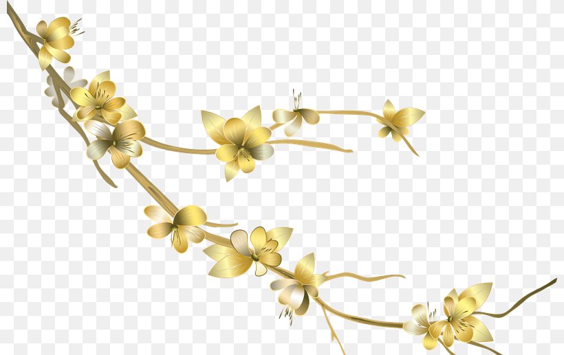 Twig Plant Stem Flowering Plant New Year, PNG, 800x517px, Twig, Blossom, Branch, Flora, Flower Download Free