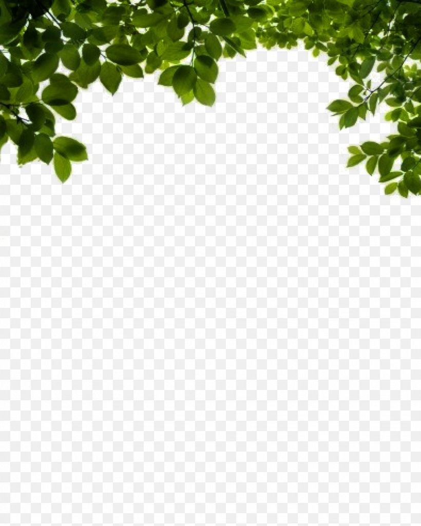 Branch Shrub Leaf Clip Art, PNG, 1024x1280px, Branch, Deviantart, Grass, Green, Leaf Download Free