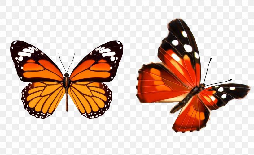 Butterfly Paper Too Soon, PNG, 1772x1086px, Butterfly, Arthropod, Brush Footed Butterfly, Information, Insect Download Free