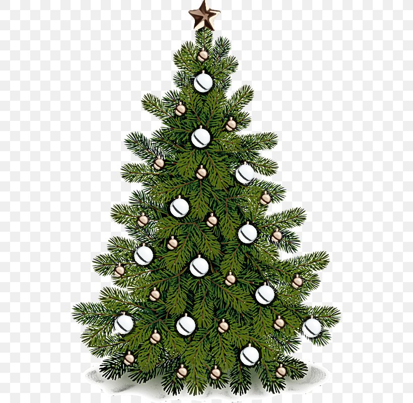 Christmas Tree, PNG, 537x800px, Christmas Tree, Balsam Fir, Canadian Fir, Christmas Decoration, Colorado Spruce Download Free