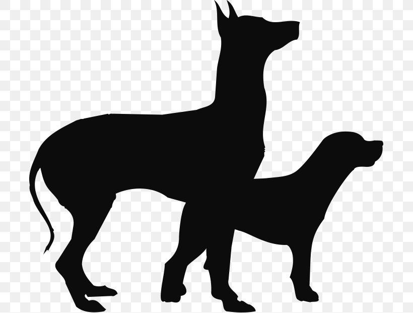 Dog Breed Silhouette Paper Non-sporting Group Black, PNG, 703x621px, Dog Breed, Birthday, Black, Black And White, Carnivoran Download Free