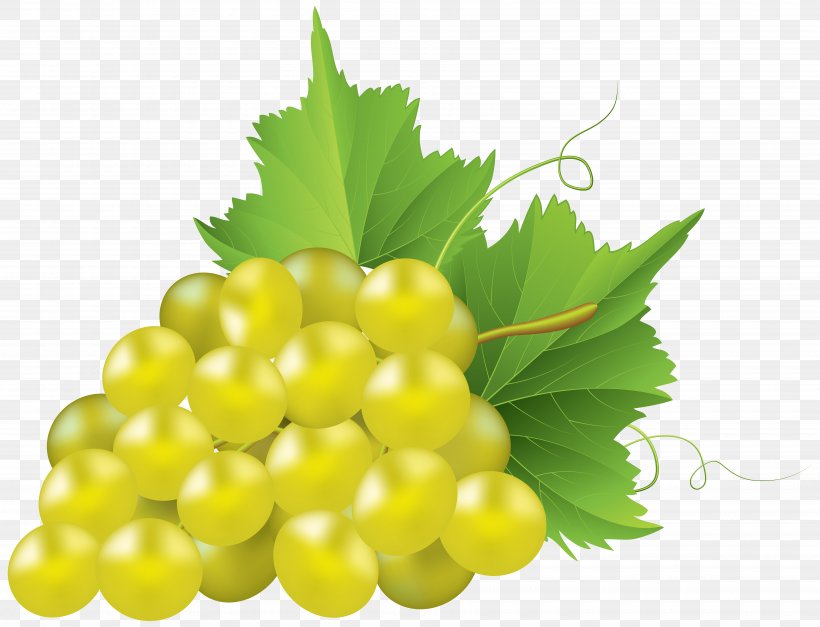 Juice Common Grape Vine Concord Grape Clip Art, PNG, 7000x5359px, Juice, Common Grape Vine, Concord Grape, Food, Fruit Download Free