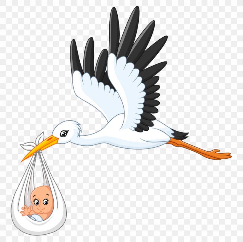 White Stork Infant Clip Art, PNG, 1600x1600px, White Stork, Beak, Bird, Childbirth, Ciconia Download Free