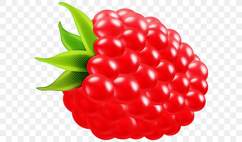 Berry Fruit Red Seedless Fruit Plant, PNG, 600x480px, Berry, Accessory Fruit, Food, Fruit, Natural Foods Download Free