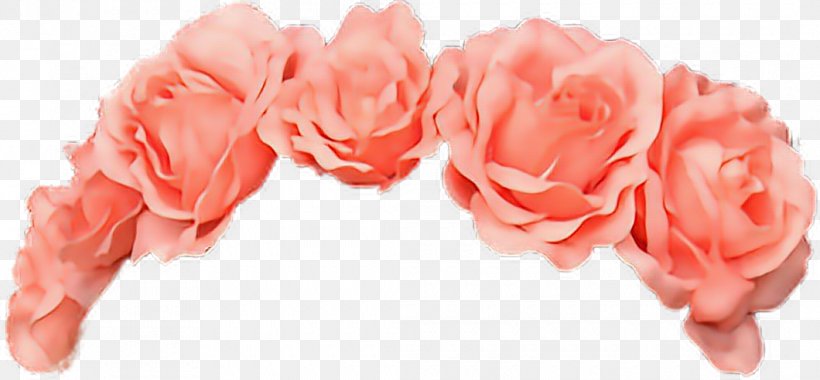 Crown Flower Clip Art Floral Design Image, PNG, 1060x492px, Crown, Carnation, Clothing Accessories, Cut Flowers, Floral Design Download Free