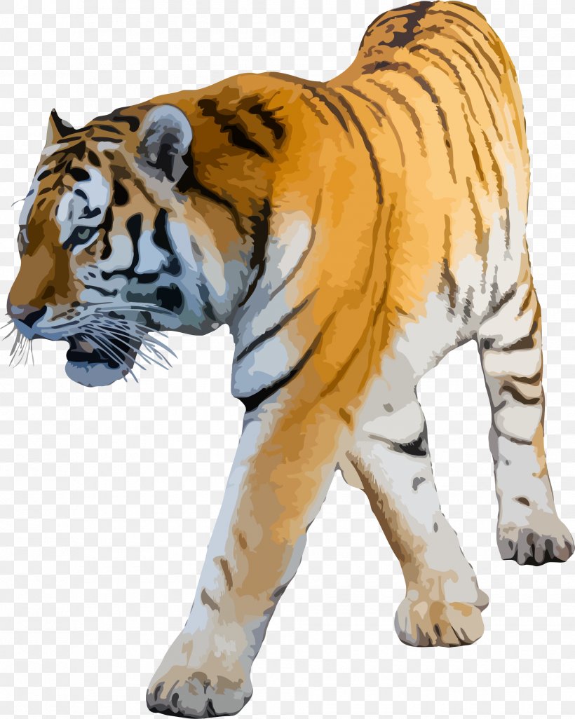 Felidae White Tiger Siberian Tiger Clip Art, PNG, 1910x2391px, Felidae, Animal Figure, Bengal Tiger, Big Cat, Big Cats Download Free