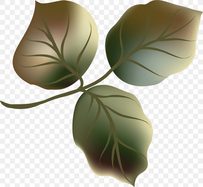 Leaf Clip Art, PNG, 2000x1842px, Leaf, Google Images, Green, Plant, Watercolor Painting Download Free