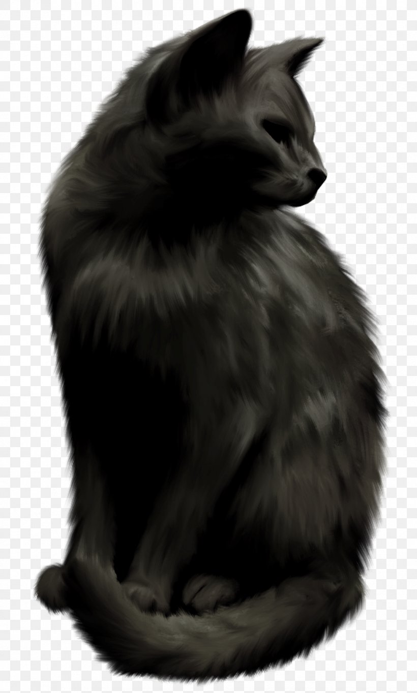 Norwegian Forest Cat Nebelung Black Cat Whiskers, PNG, 1082x1800px, Norwegian Forest Cat, Black And White, Black Cat, Carnivoran, Cat Download Free