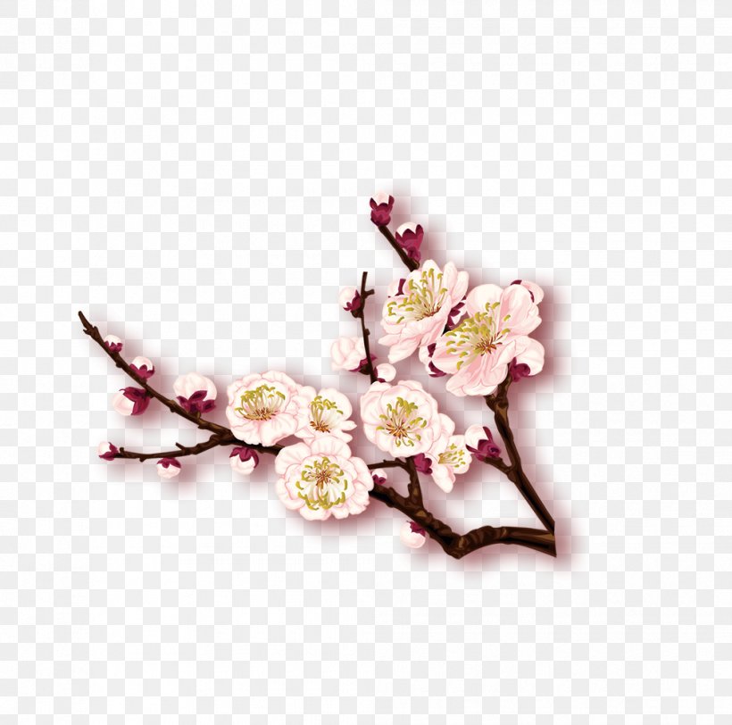Plum Blossom Winter, PNG, 1005x996px, Plum Blossom, Artificial Flower, Blossom, Branch, Cherry Blossom Download Free