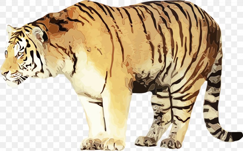 Wildlife Terrestrial Animal Bengal Tiger Tiger Animal Figure, PNG, 3000x1866px, Watercolor, Animal Figure, Bengal Tiger, Paint, Siberian Tiger Download Free