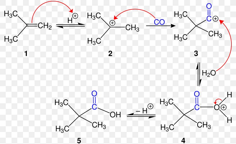 Koch Reaction Organic Chemistry Alkene, PNG, 800x502px, Koch Reaction, Alkene, Area, Carbonylation, Carboxylic Acid Download Free