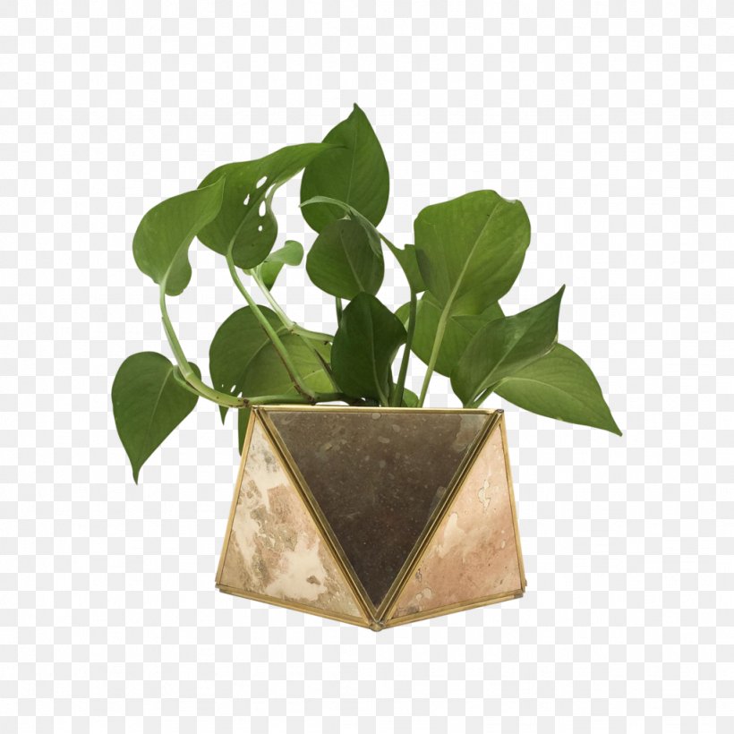 Leaf Flowerpot, PNG, 1024x1024px, Leaf, Flowerpot, Plant Download Free