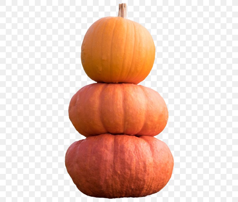 Pumpkin Calabaza Gourd Winter Squash Vegetable, PNG, 400x697px, Pumpkin, Calabaza, Cucumber Gourd And Melon Family, Cucurbita, Deviantart Download Free