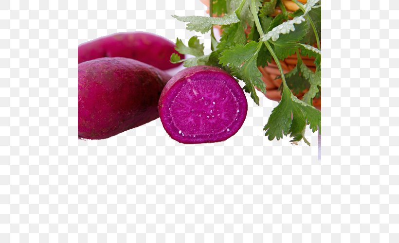 Purple Radish Sweet Potato Vegetable, PNG, 500x500px, Purple, Beet, Beetroot, Dish, Food Download Free