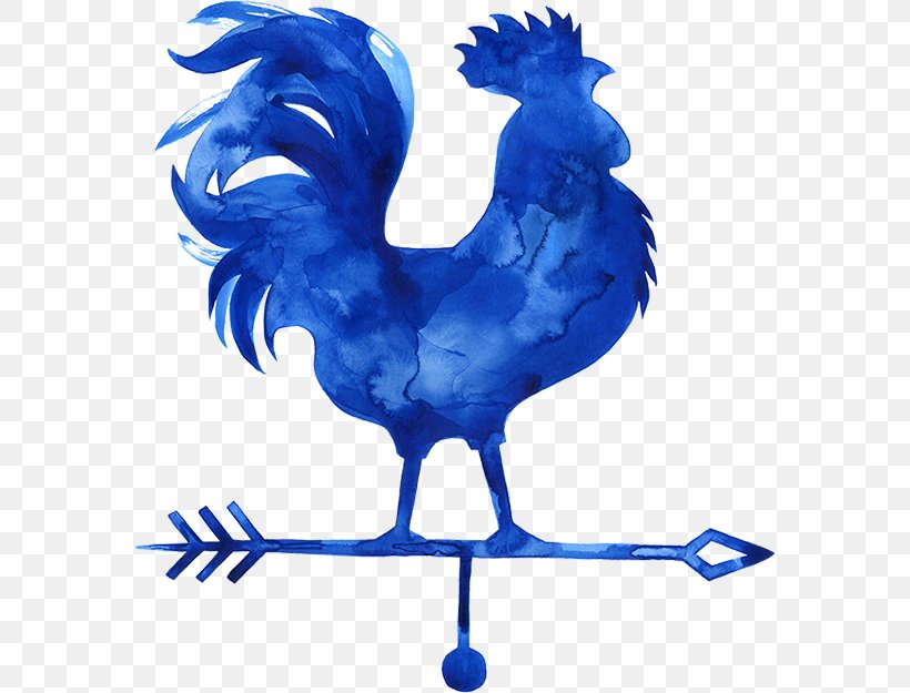 Rooster Cobalt Blue Feather, PNG, 576x625px, Rooster, Beak, Bird, Blue, Chicken Download Free
