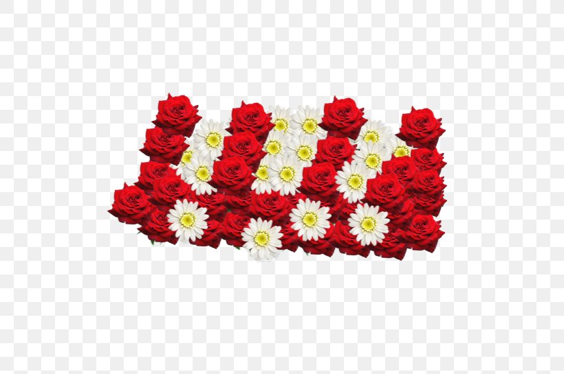 Transvaal Daisy Floral Design Cut Flowers Chrysanthemum, PNG, 532x545px, Transvaal Daisy, Chrysanthemum, Chrysanths, Cut Flowers, Daisy Family Download Free