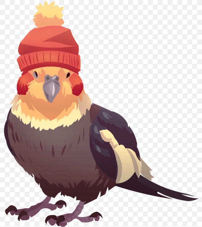 Bird Cartoon Beak Parrot Cockatiel, PNG, 792x922px, Bird, Animation, Beak, Cartoon, Cockatiel Download Free