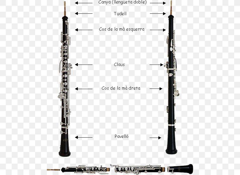 Cor Anglais Clarinet Bass Oboe Piccolo, PNG, 500x599px, Cor Anglais, Bass Oboe, Bassoon, Brass Instruments, Canya Download Free