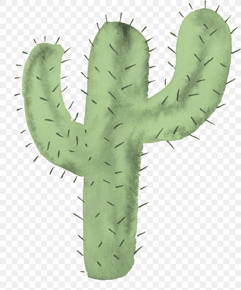 Cactus Image Transparency Clip Art, PNG, 1024x1235px, Cactus, Acanthocereus Tetragonus, Botany, Cartoon, Caryophyllales Download Free