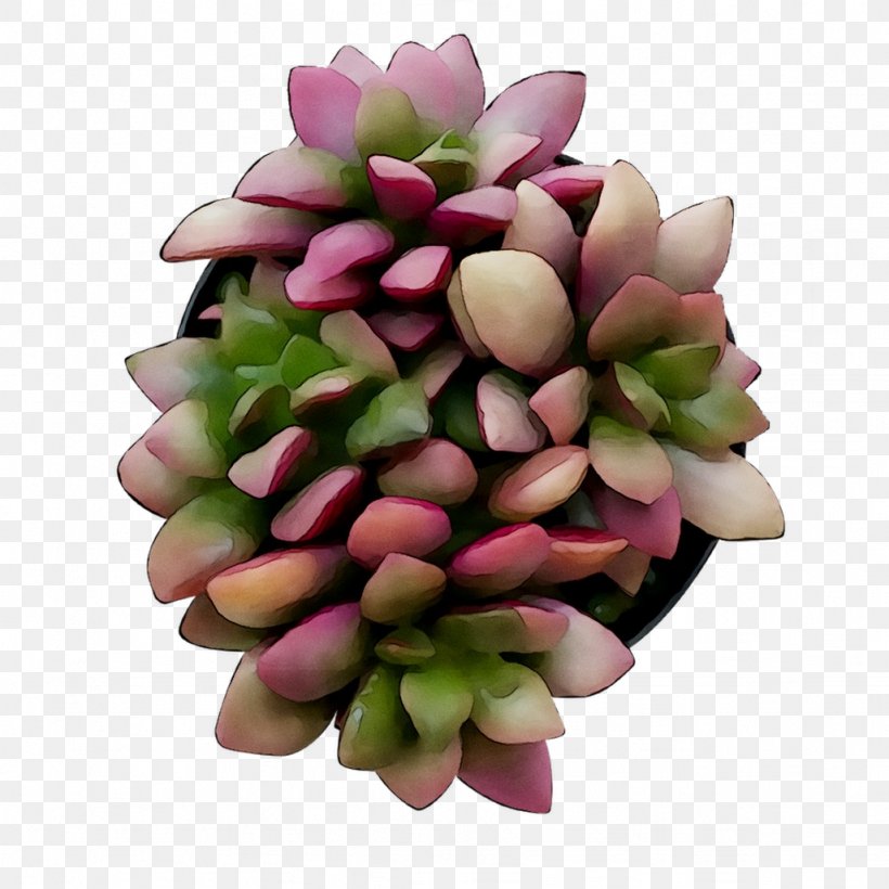 Cut Flowers Flower Bouquet, PNG, 1026x1026px, Cut Flowers, Artificial Flower, Echeveria, Flower, Flower Bouquet Download Free