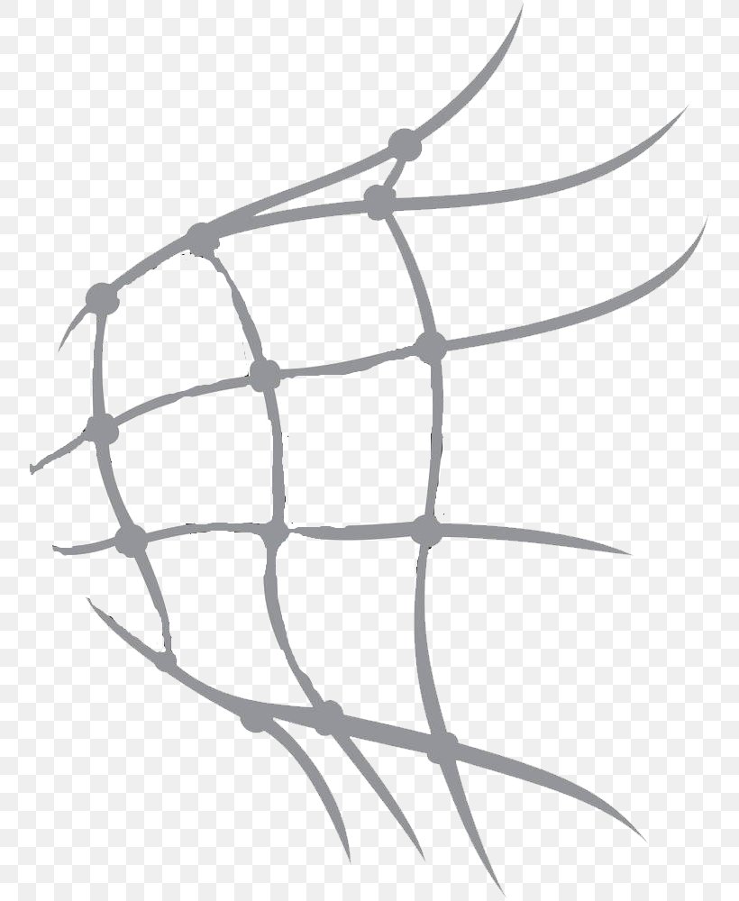 Football Player Goal Net, PNG, 754x1000px, Football, Area, Ball, Black And White, Branch Download Free