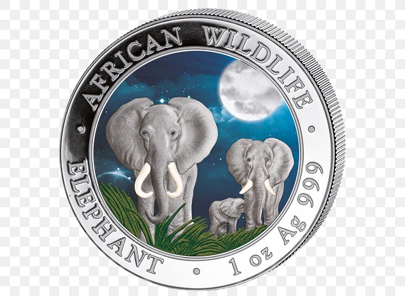 Indian Elephant Coin Somalia African Elephant Elephantidae, PNG, 600x600px, Indian Elephant, Africa, African Elephant, Coin, Currency Download Free