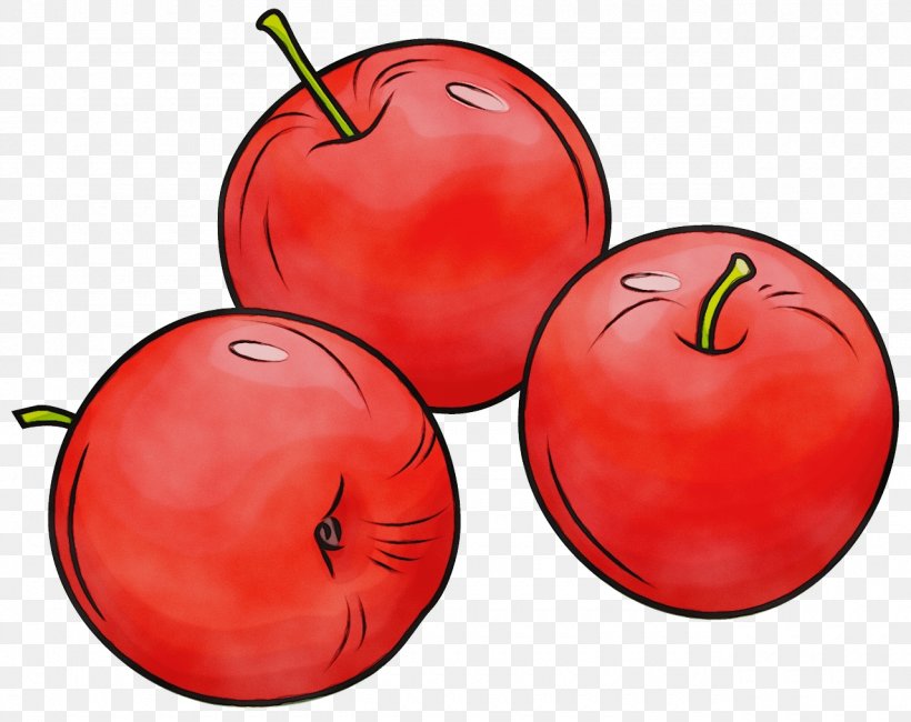 Natural Foods Fruit Local Food Red Apple, PNG, 1280x1016px, Watercolor, Apple, Food, Fruit, Leaf Download Free