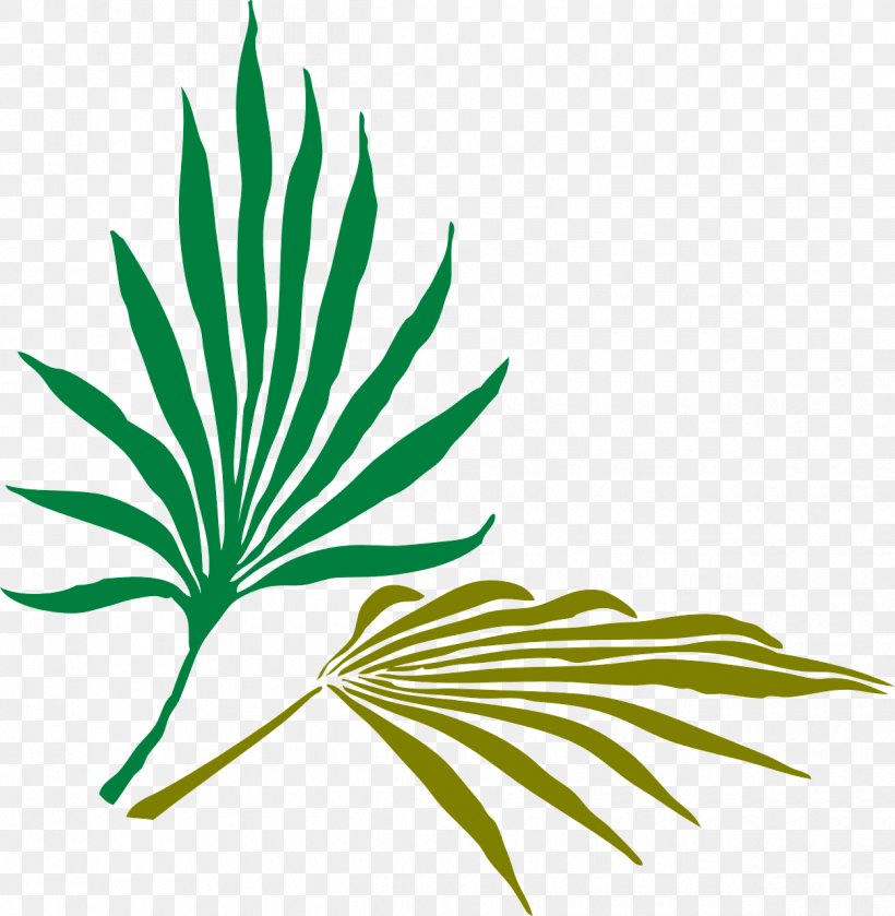 Palm Branch Frond Arecaceae Clip Art, PNG, 1250x1280px, Palm Branch, Arecaceae, Arecales, Branch, Fern Download Free