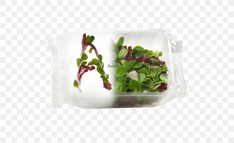 Plastic Bag Salad Packaging And Labeling Food Vegetable, PNG, 500x500px, Plastic Bag, Bag, Corn Salad, Endive, Flowerpot Download Free