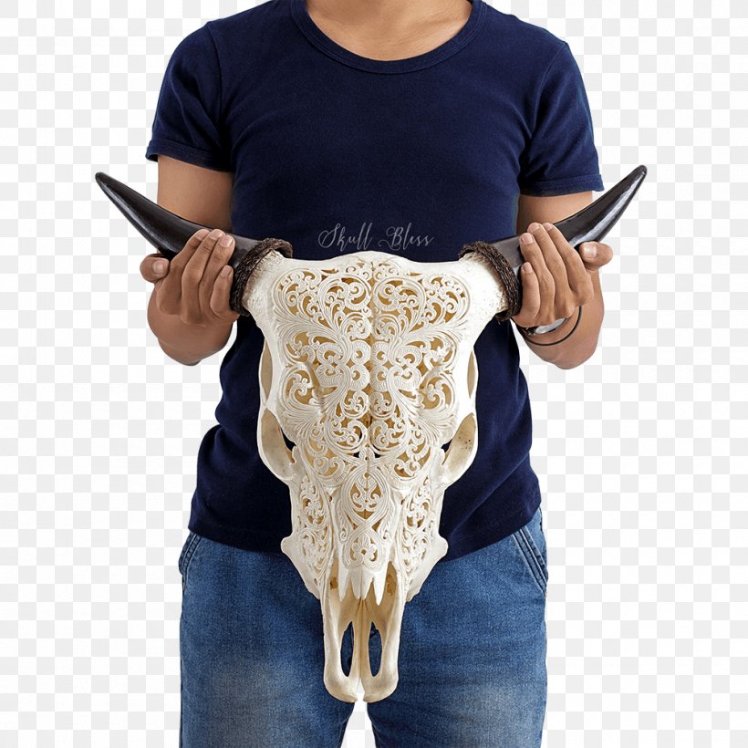 Bali Cattle Horn Skull Orbit, PNG, 1000x1000px, Cattle, Antler, Bali Cattle, Barbed Wire, Bone Download Free