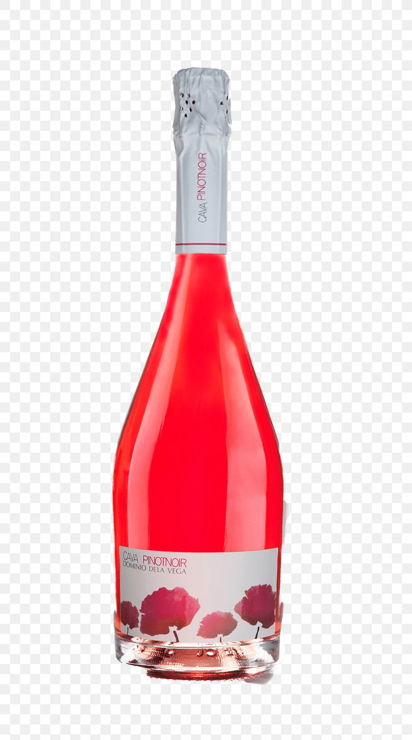 Champagne Pinot Noir Rosé Cava DO Wine, PNG, 600x1471px, Champagne, Alcoholic Beverage, Aroma, Cava Do, Chardonnay Download Free