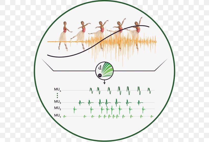 Electromyography Sensor Company Subvocal Recognition Circle, PNG, 556x556px, Electromyography, Area, Company, Darpa, Diagram Download Free