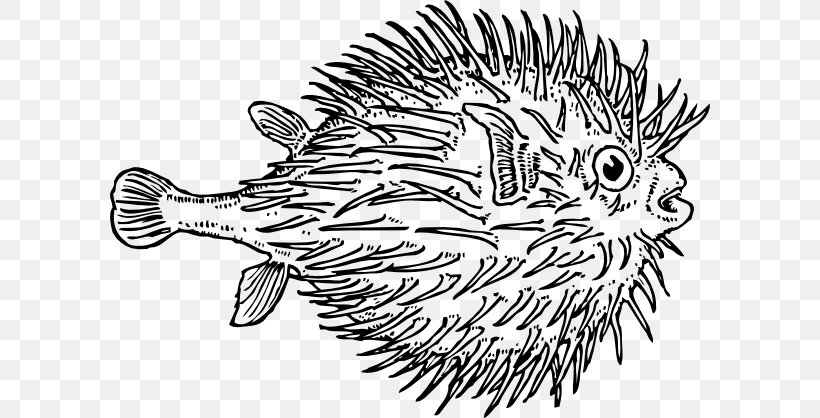 Pufferfish Coloring Book Shark Clip Art, PNG, 600x418px, Pufferfish, Art, Artwork, Black And White, Coloring Book Download Free