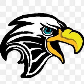 Eagle - Bald Eagle Vector Graphics Clip Art Royalty-free Cartoon PNG
