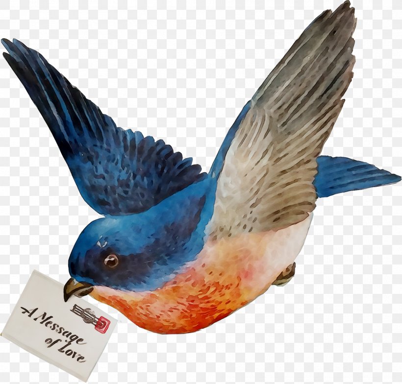 Bird Clip Art Passerine Beak, PNG, 1873x1793px, Bird, Animal Figure, Animals Birds, Art, Beak Download Free