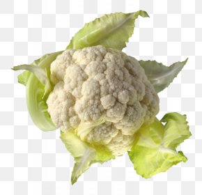 A White Broccoli - Cauliflower Cabbage Image File Formats PNG