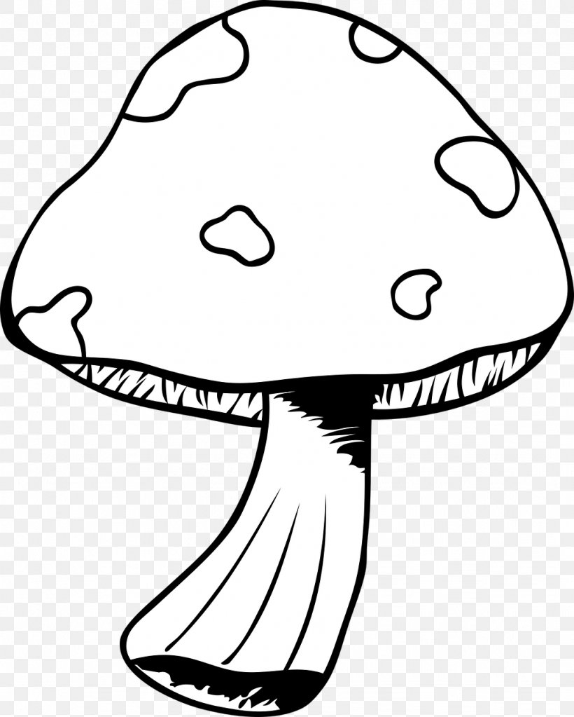Clip Art Mushroom Image Drawing Vector Graphics, PNG, 1026x1280px, Mushroom, Amanita, Area, Art, Artwork Download Free