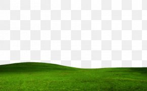 NATURE BACKGROUND - Image Editing Photography PhotoScape PNG