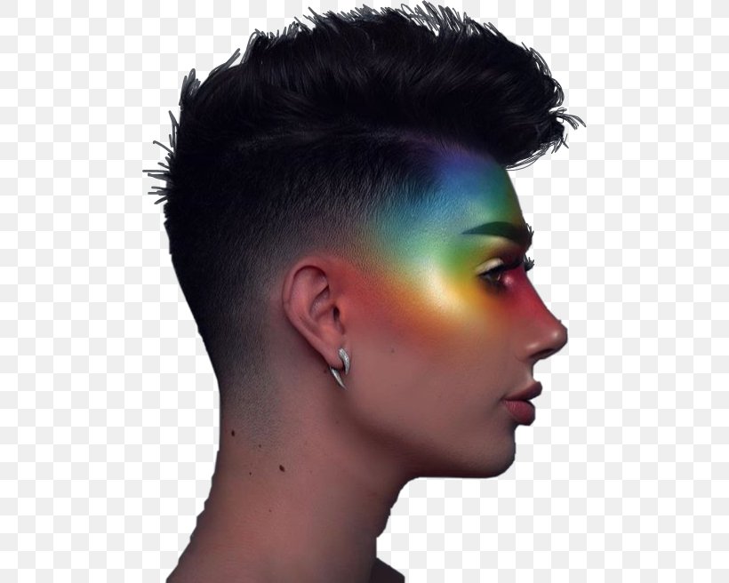 James Charles Model Image Instagram Photography, PNG, 500x656px, James Charles, Ariana Grande, Black Hair, Cheek, Chin Download Free