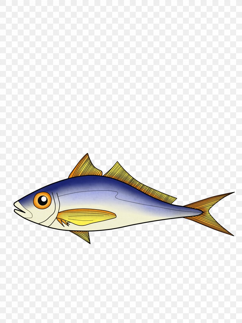 Sardine, PNG, 3024x4032px, Sardine, Bony Fish, Cod, Fin, Fish Download Free