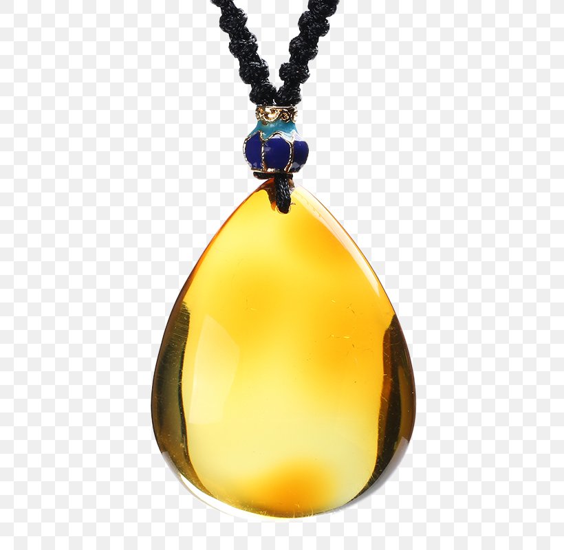Amber Bee Wax Pendant, PNG, 800x800px, Amber, Bee, Designer, Fashion Accessory, Gemstone Download Free