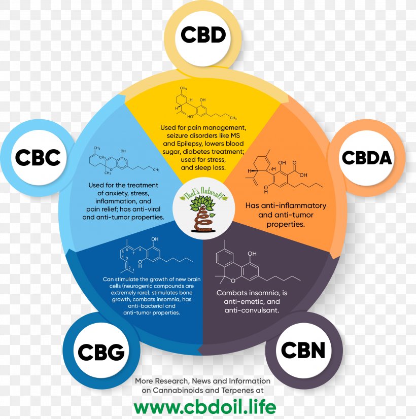 Cannabidiol Cannabinoid Cannabis Entourage Effect Tetrahydrocannabinol, PNG, 3119x3142px, Cannabidiol, Brand, Cannabichromene, Cannabigerol, Cannabinoid Download Free