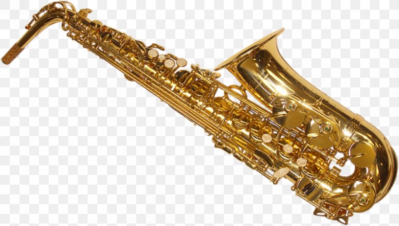 Elkhart Alto Saxophone Henri Selmer Paris Musical Instruments, PNG, 836x475px, Watercolor, Cartoon, Flower, Frame, Heart Download Free