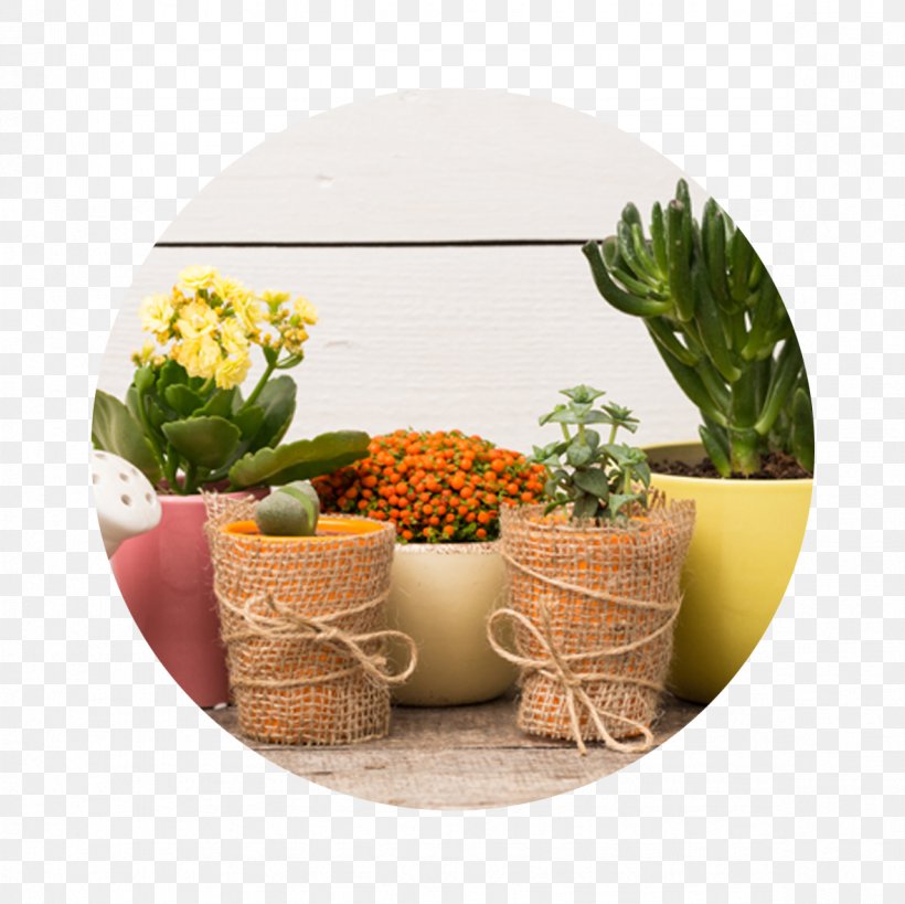 Stock Photography Royalty-free Light Depositphotos Plants, PNG, 1181x1181px, Stock Photography, Bei, Ceramic, Depositphotos, Dishware Download Free