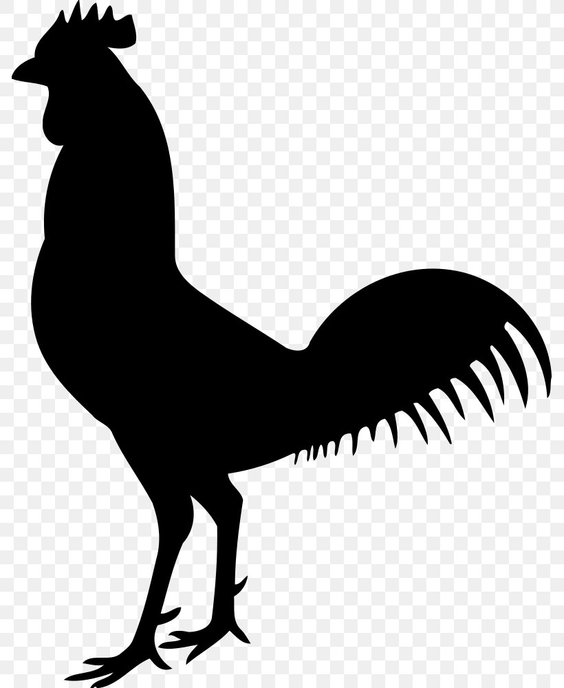 Chicken Skeleton Clip Art, PNG, 785x1000px, Chicken, Artwork, Beak, Bird, Black And White Download Free