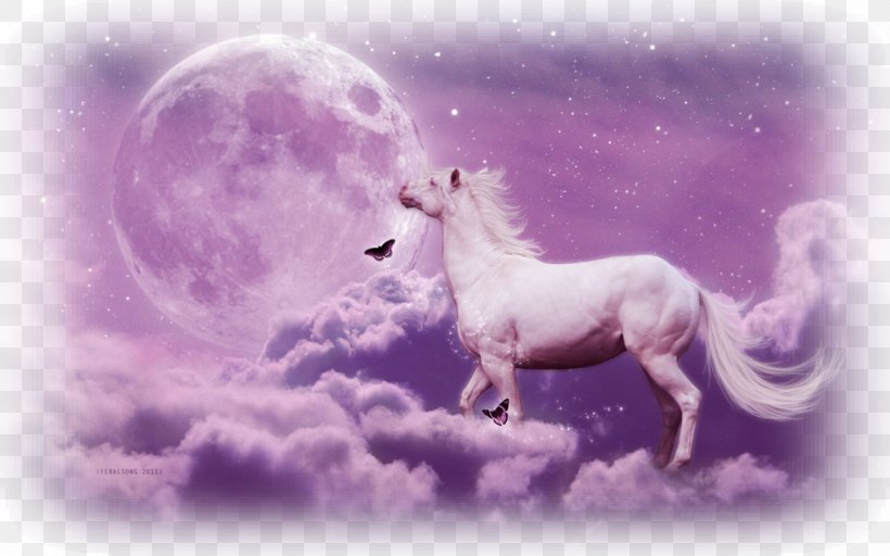 Desktop Wallpaper Unicorn Arabian Horse Download, PNG, 1440x900px, Unicorn, Animal, Arabian Horse, Bleach, Computer Download Free