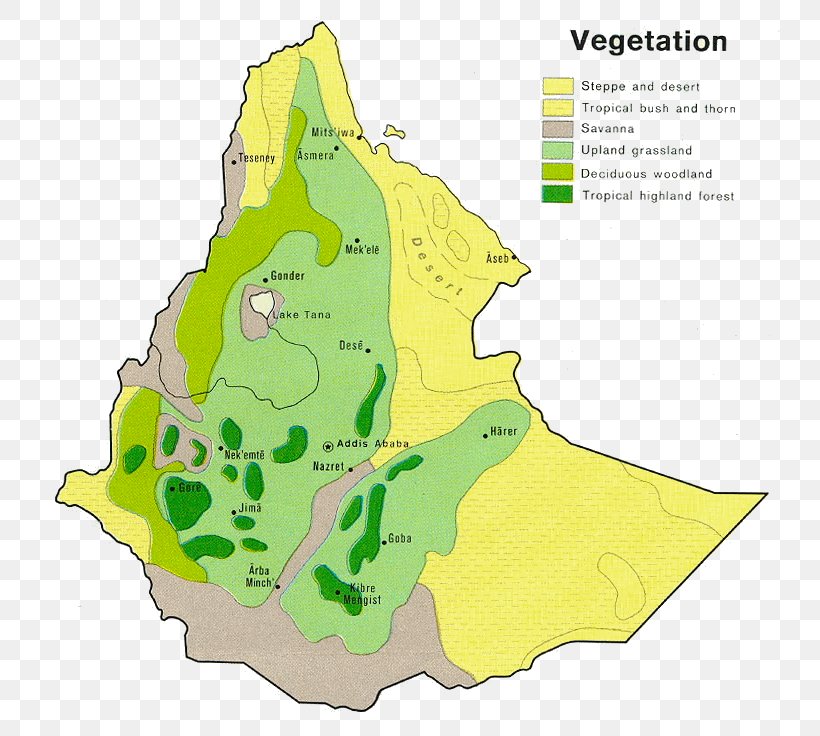 Ethiopia Perry–Castañeda Library Map Vegetation Savanna, PNG, 774x736px, Ethiopia, Area, Cartography, City Map, Country Download Free