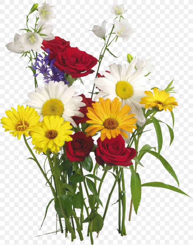 Flower Of The Fields Flower Bouquet Garden Roses Transvaal Daisy, PNG, 944x1200px, Flower Of The Fields, Annual Plant, Blume, Chamomile, Chrysanths Download Free