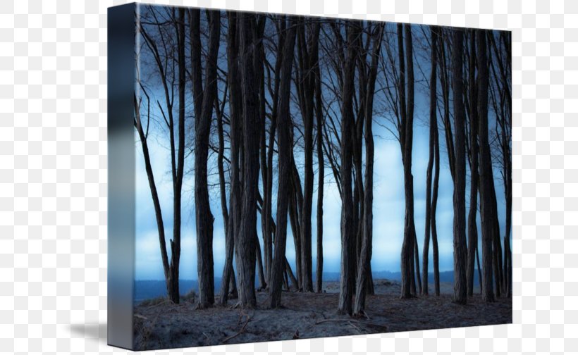Gallery Wrap Picture Frames Modern Art Canvas, PNG, 650x504px, Gallery Wrap, Art, Canvas, Forest, Modern Architecture Download Free